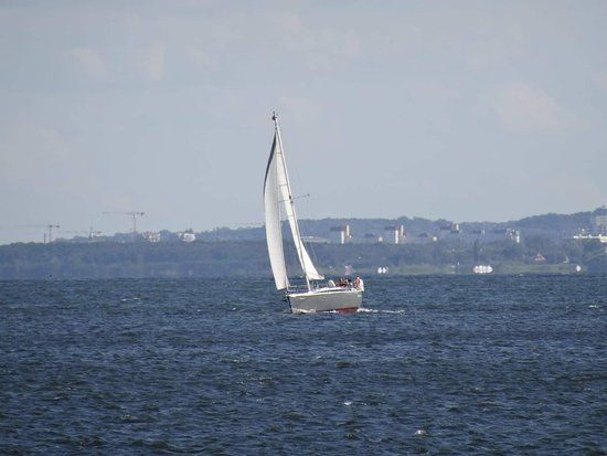 Plaża miejska